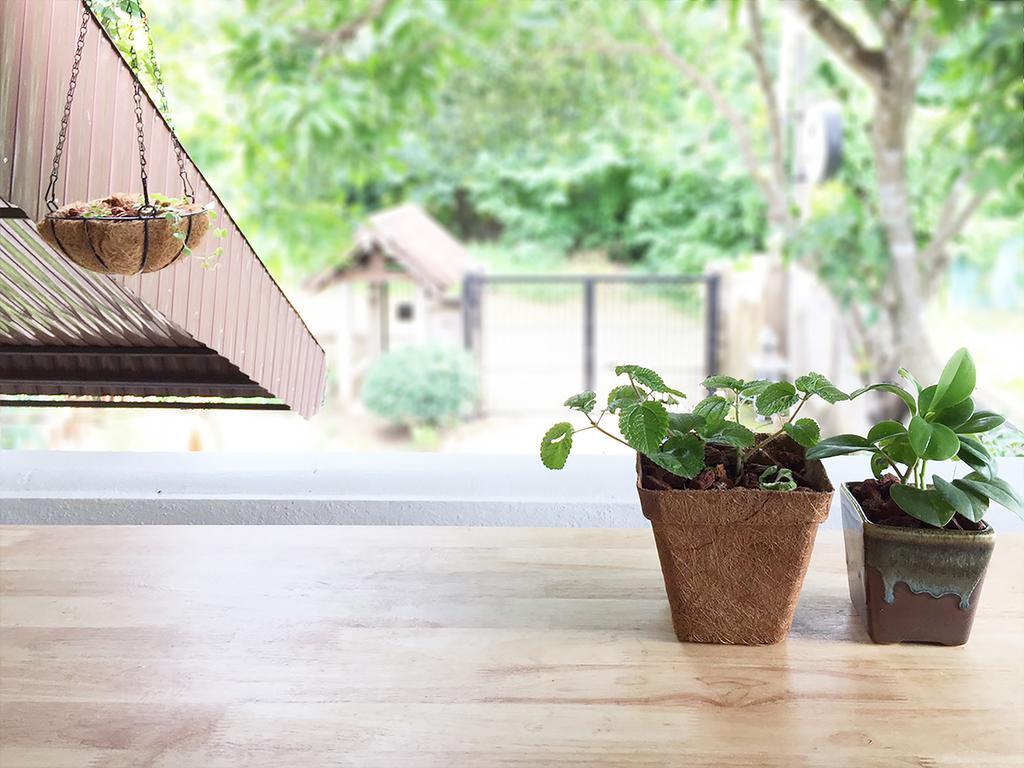 Squirrel Hostel เชียงใหม่ ภายนอก รูปภาพ